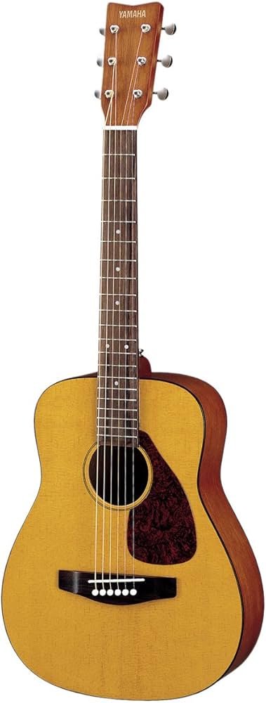 JR1 model Kid Friendly best beginner guitars